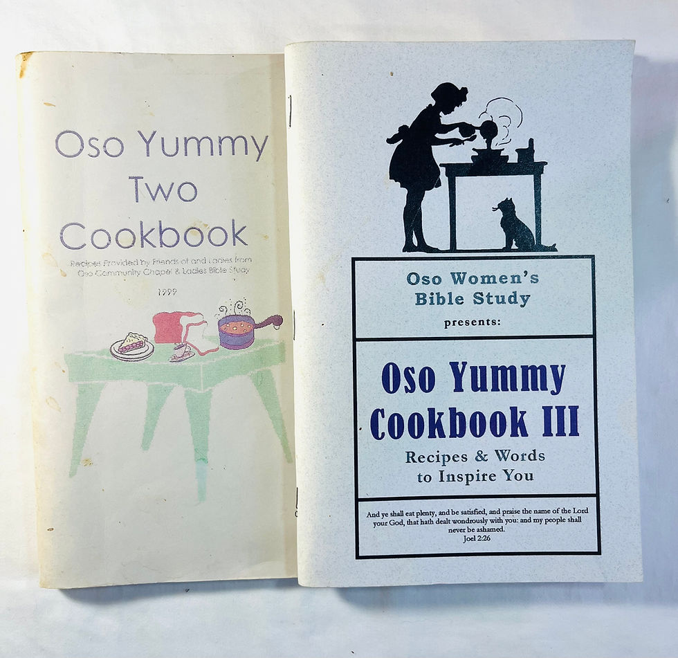 Thumbnail: Oso Yummy Cookbooks: II and III
