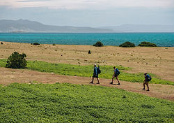 The Maria Island Walk