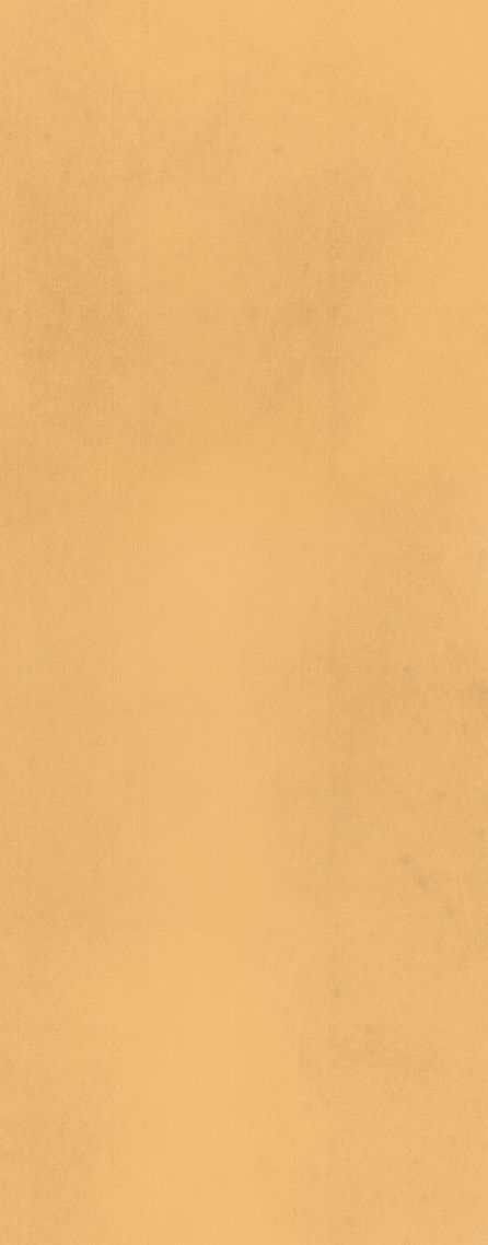 BackgroundLongP.jpg
