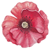 Logo coquelicot