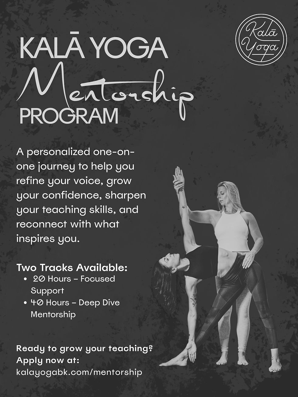 Mentorship Program