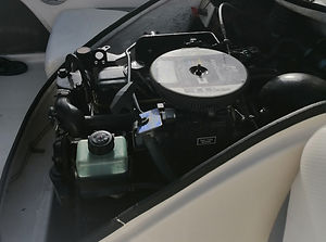 Bayliner Engine XtremeMarineQtr