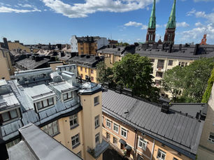 Vesikaton kuntoarvio: pieni kustannus, suuri turva