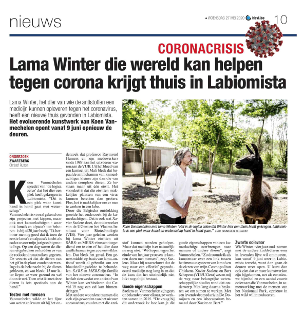 Llama Winter, Het Belang Van limburg