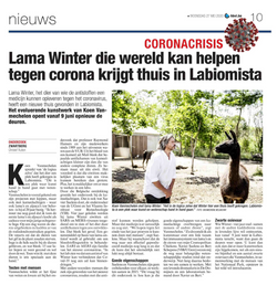Llama Winter, Het Belang Van limburg