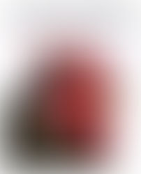 New catalog available - It's About Time