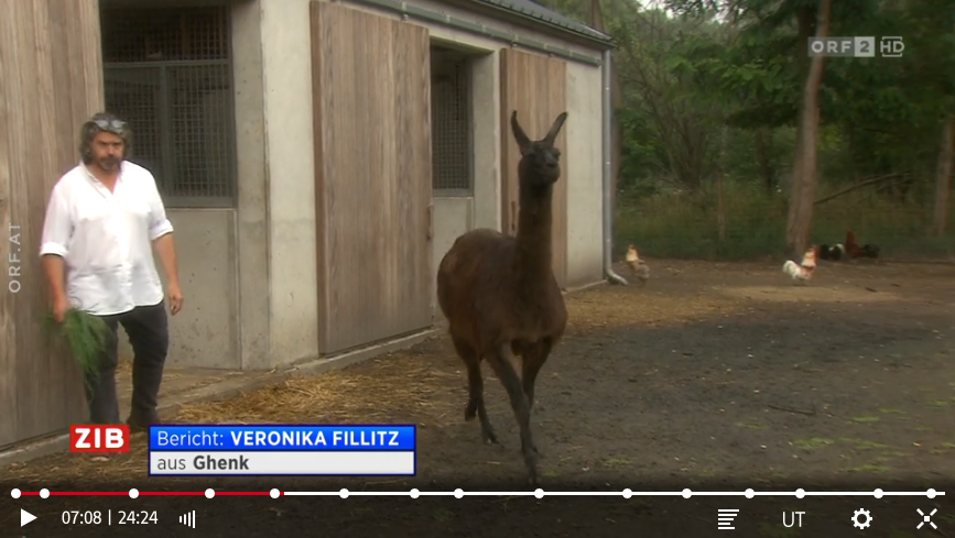 ORF, llama winter