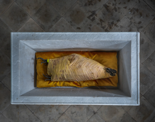 FORGOTTEN MEMORIES (SOLO EXHIBITION), Museo Barracco, Rome (IT), 1 MAR - 30 JUN 2021 (POSTPONED)