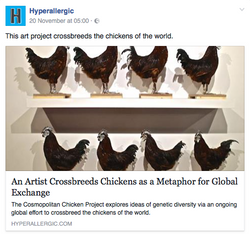 HYPERALLERGIC, NOV 2016
