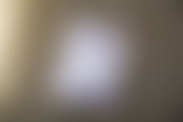 Breaking the Frame, publication on Koen Vanmechelen’s installation at DordtYart