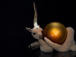 Bio-Care, TINNED, Wasserman Projects, Detroit (US), May 31 – August 23, 2025