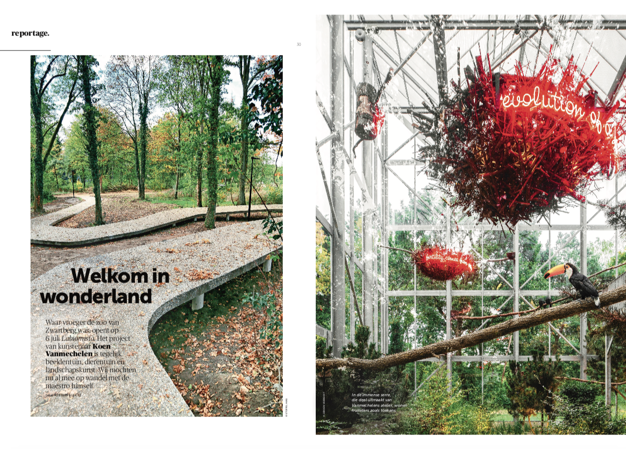 De Morgen Magazine, 2019