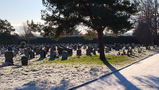 Snowy scenes in Findon Valley     5th January 2026