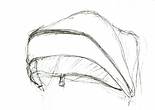 image (11).png
