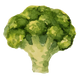 broccoli