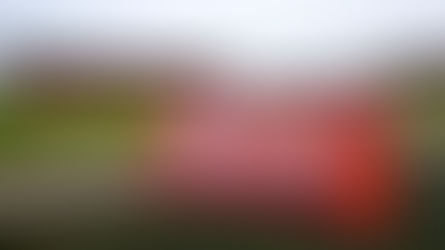 Trust Membership Status Check – Please Read