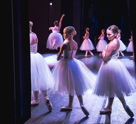 Kalamazoo pre-professional ballet school and contemporary dance training