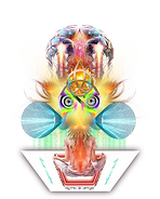 Erlebe ein Wunder.png