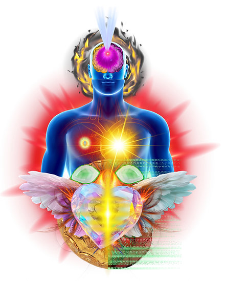 Herz Heilung_edited.png