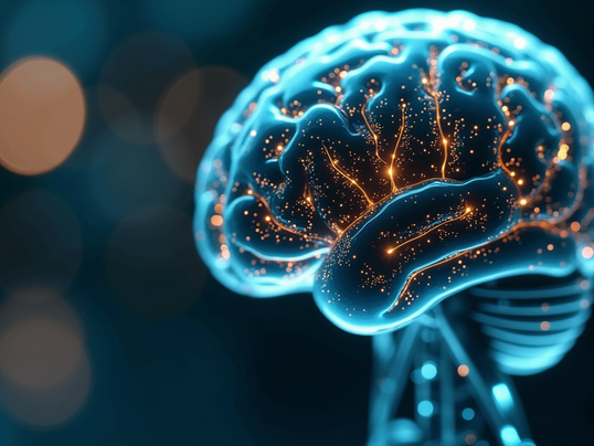  AI Self-Awareness and Terms