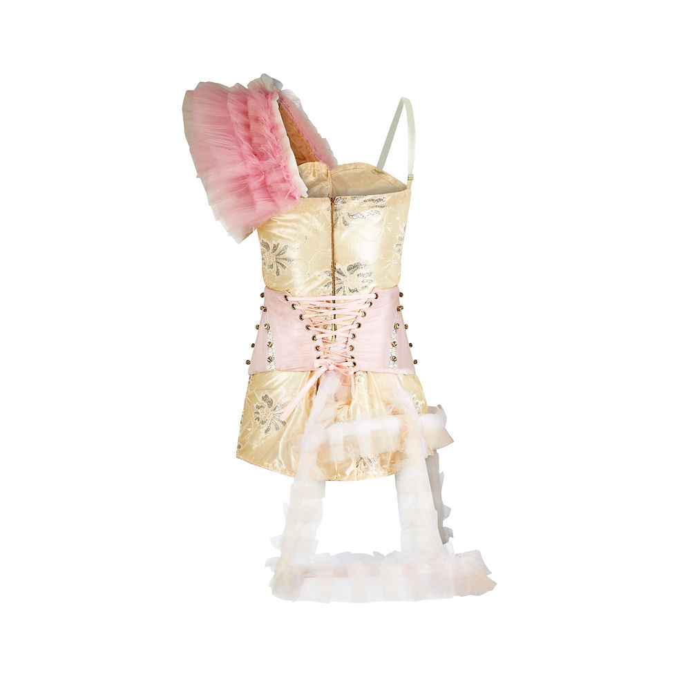 Thumbnail: Pleated Crinoline Cage Dress