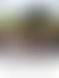 Les grands-singes en temps de Covid