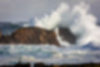 Cormoran huppé devant des vagues