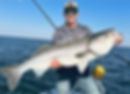 48” Striped Bass (Matt)