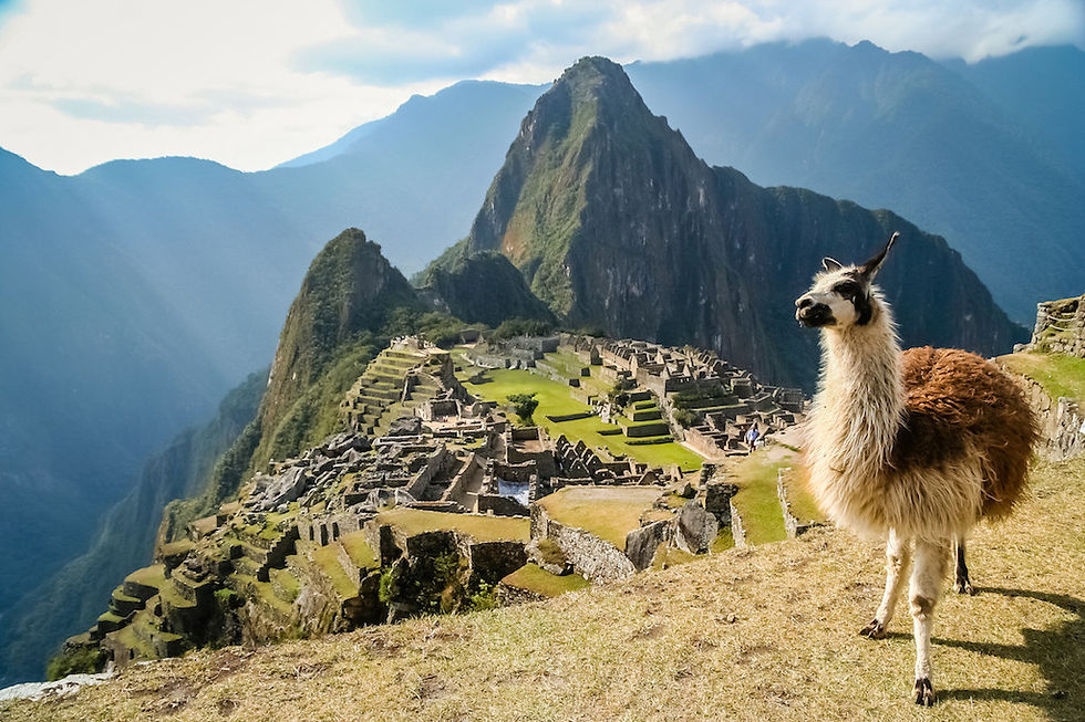 YOGAZONIA-SACRED PERU