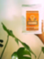 Woodcat Columbia Tolima Brand