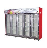 Vitrinas Refrigerdas Vertical Debras 5 P