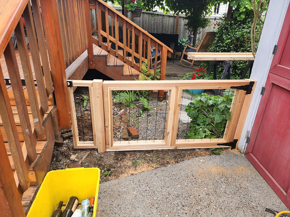 Dog gate