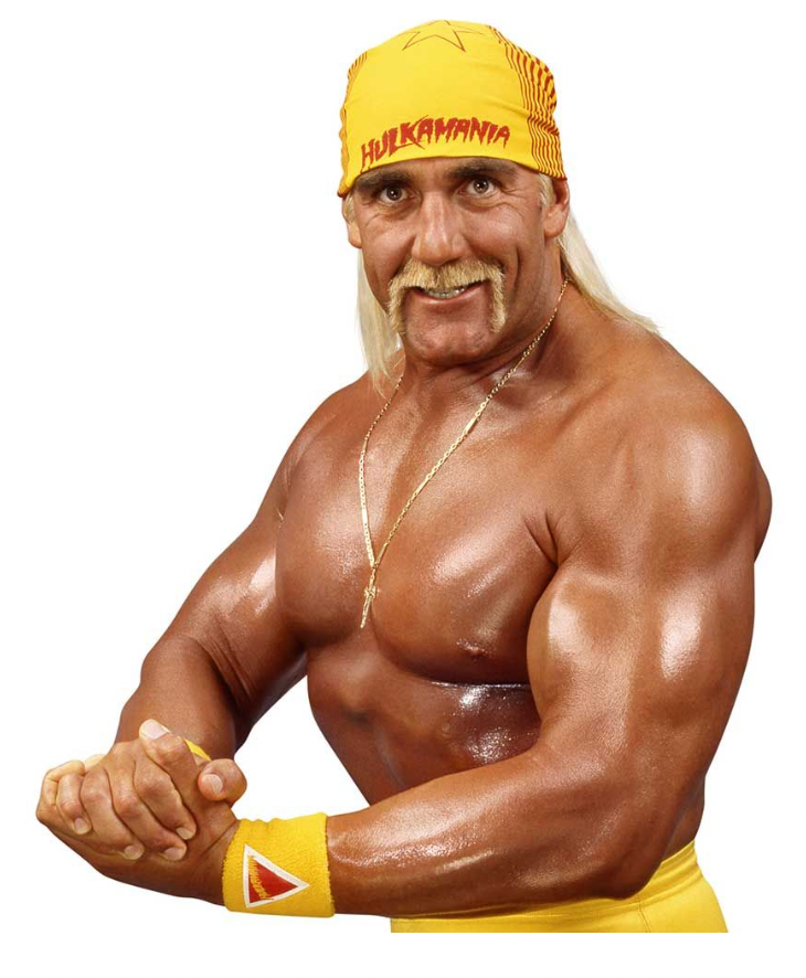 🎓 Hulk Hogan and the Power of Education: What Educators Can Learn from the Wrestling Icon