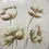 Thumbnail: Cuadro decorativo flores beige en relieve 80x80 cm estilo natural y elegante