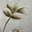 Thumbnail: Cuadro decorativo flores beige en relieve 80x80 cm estilo natural y elegante