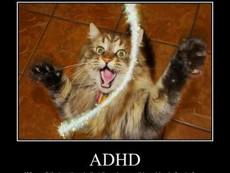 Why I Created AuDHD Adulting