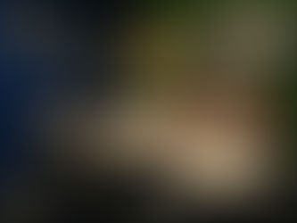 The Highlights of Patricia Justice Designs, LLC