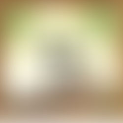 Feature Fridays: Rockwell DJs @ Rhythm + Vine - February 2023