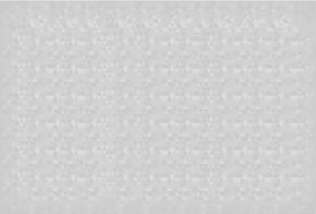 fundo cinza claro.jpg