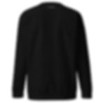 Thumbnail: Resolute PL DEFINE Long Sleeve Back