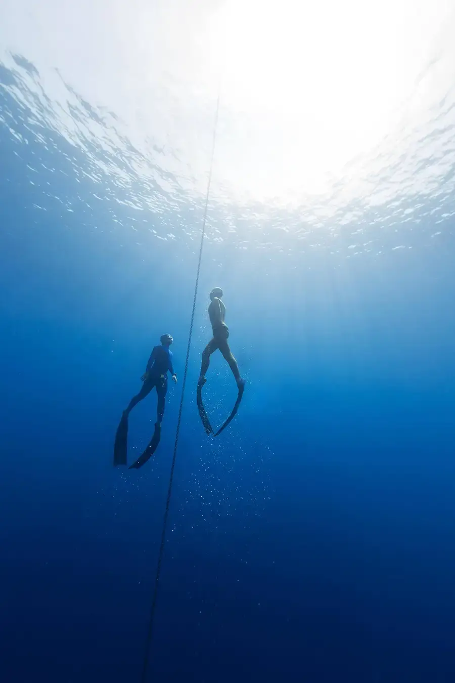 remontée sécurisée