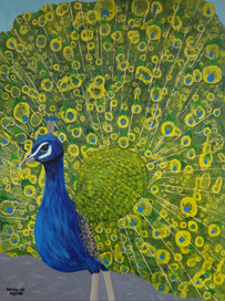 Peacock