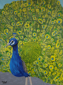 Peacock