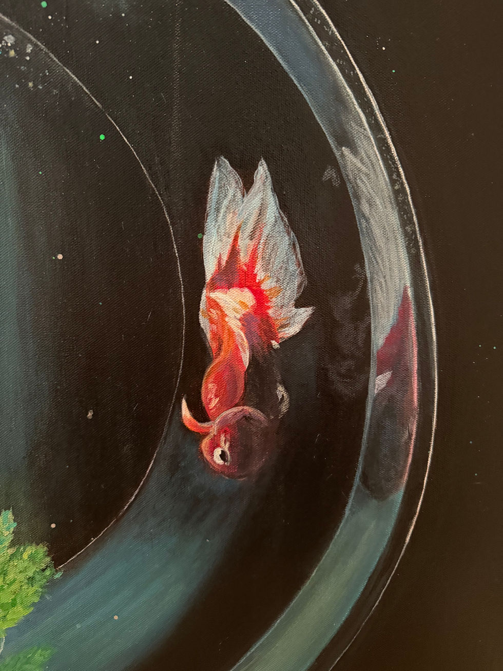 Fishes swim all day long..3