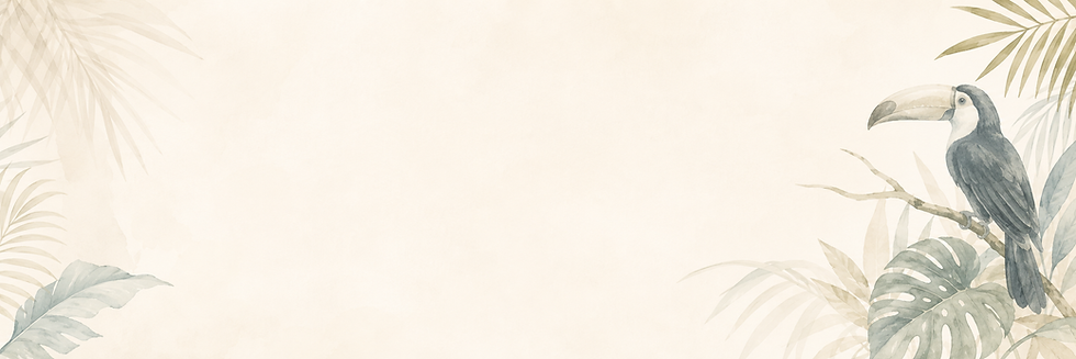 BANNER 2.png