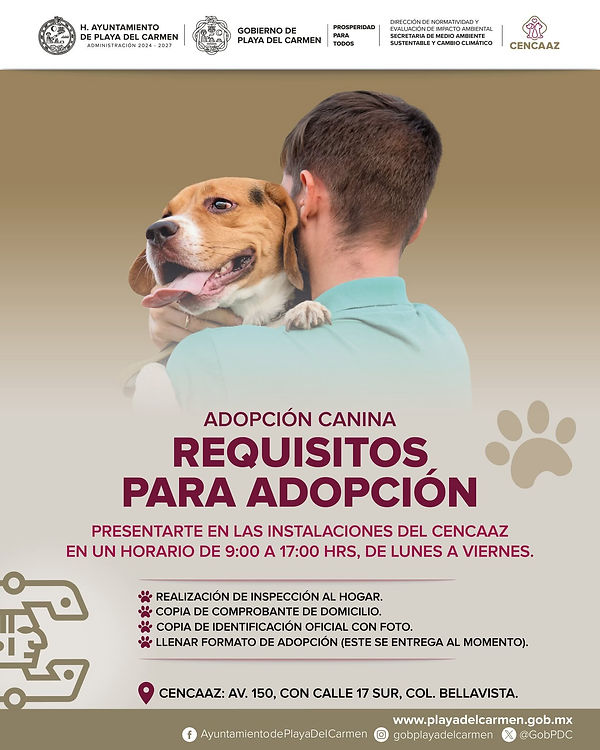 REQUISITOS CENCAAZ.jpeg