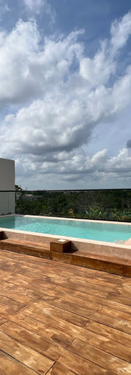 ✨ Agenda un recorrido y descubre este precioso condominio en medio de la selva.