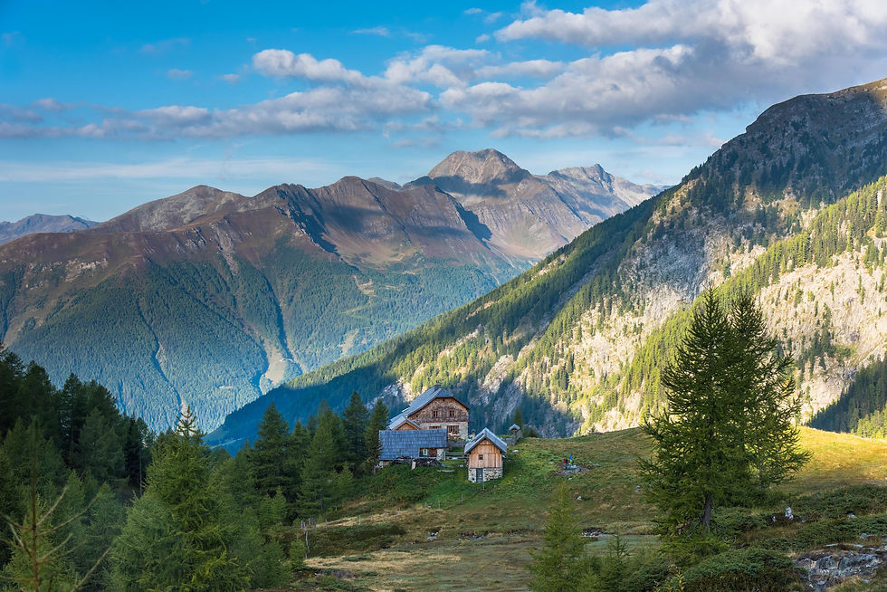 die_herrliche_natur_mit_wald_wiese_und_wasser_im_doesental_geniessen-original-5.jpeg