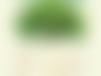 Book review : The Story of More