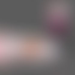 Realistic Food Rendering